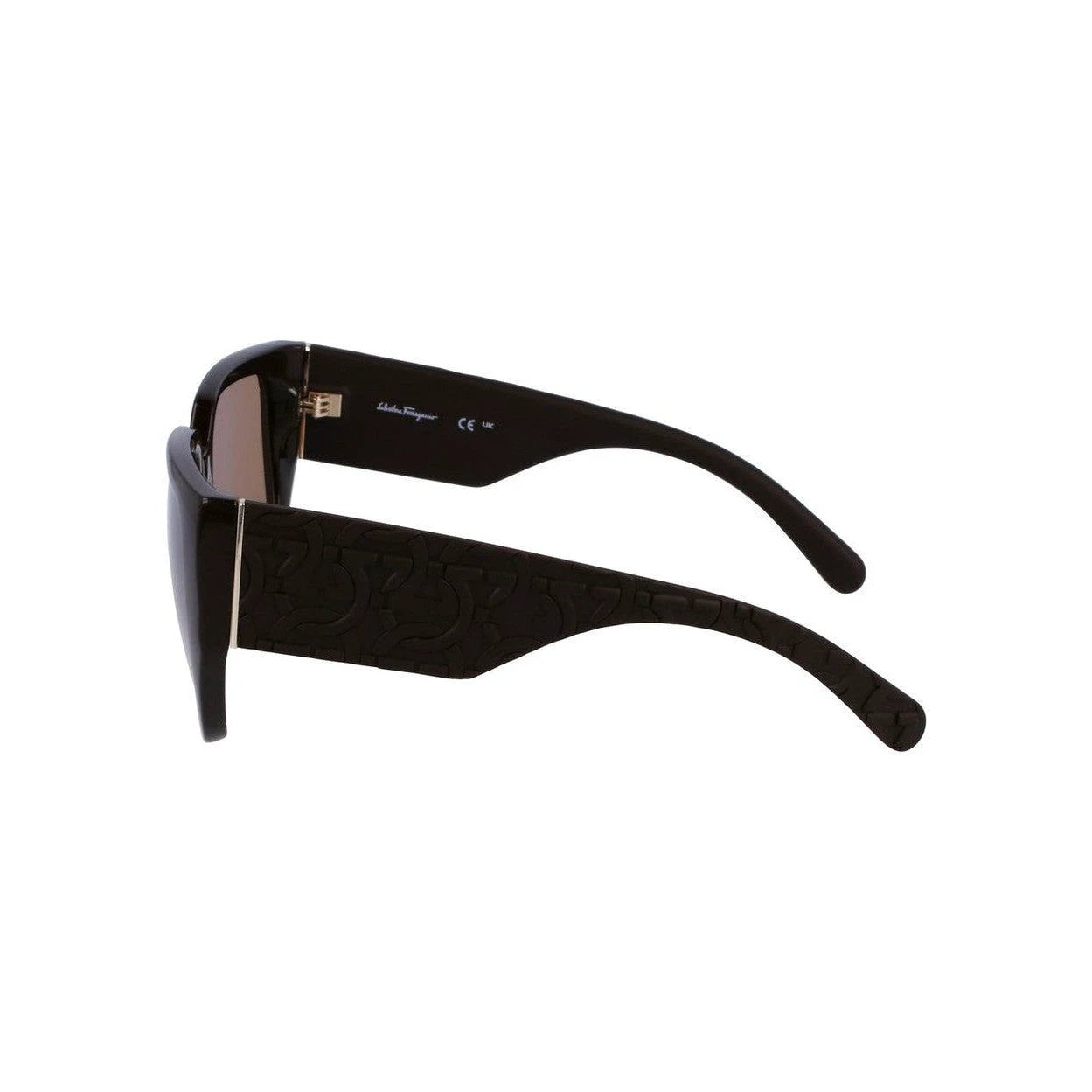 Ferragamo Damen Sonnenbrille Braun Verlauf | ELORÉ by Ferragamo