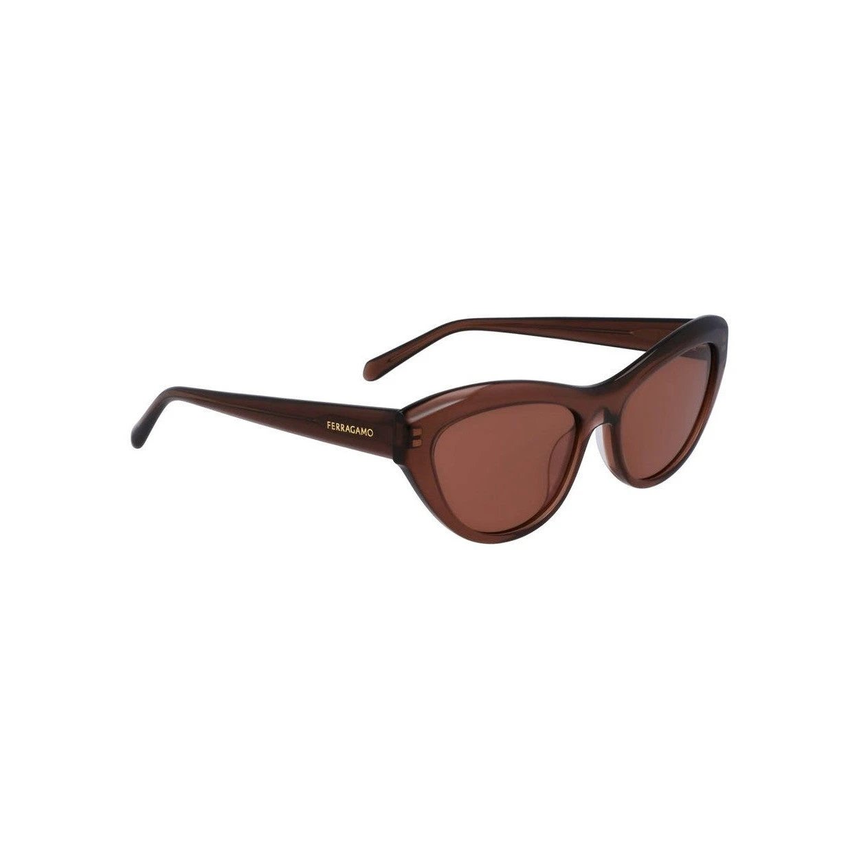 Ferragamo Sonnenbrille Braun | ELORÉ by Ferragamo