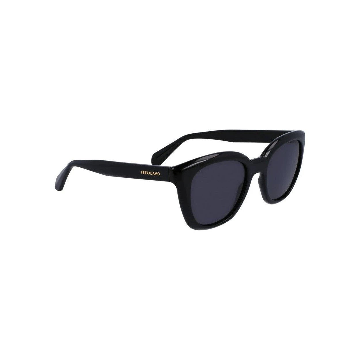 Ferragamo Sonnenbrille Acetat Vollrand Schwarz | ELORÉ by Ferragamo